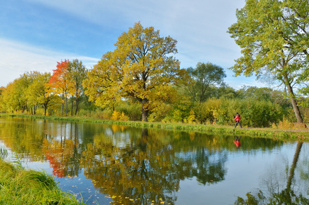 Autumn landscape in the Park.The leaves on the trees have a multicolored color.の写真素材