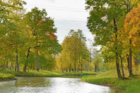 Autumn landscape in the Park.The leaves on the trees have a multicolored color.の写真素材