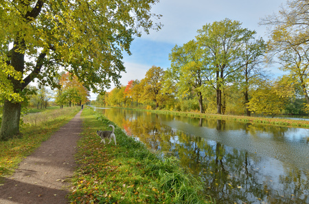 Autumn landscape in the Park.The leaves on the trees have a multicolored color.の写真素材