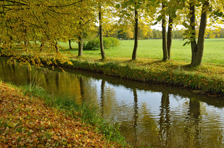 Autumn landscape in the Park.The leaves on the trees have a multicolored color.の写真素材