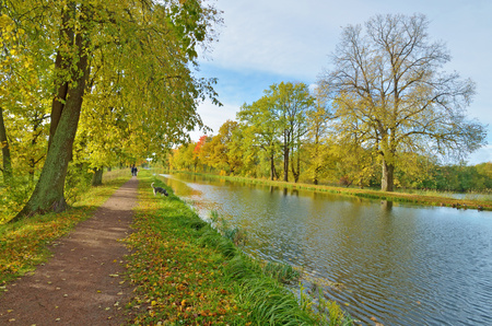 Autumn landscape in the Park.The leaves on the trees have a multicolored color.の写真素材
