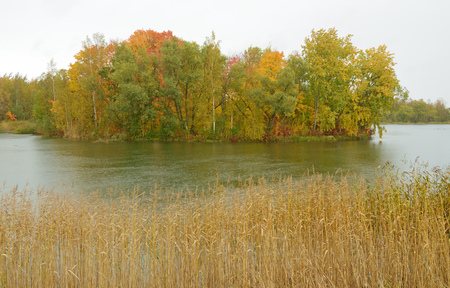 Autumn landscape in the Park.The leaves on the trees have a multicolored color.の写真素材