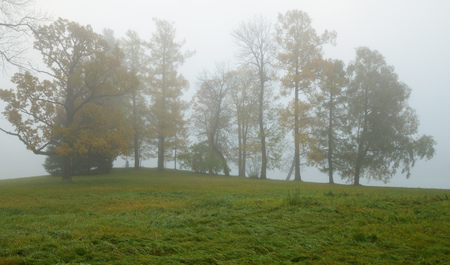 Autumn landscape in the Park.Dry grass bends in the wind.の写真素材