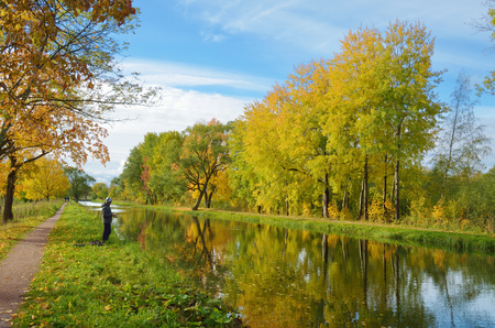 Autumn landscape in the Park.The leaves on the trees have a multicolored color.の写真素材