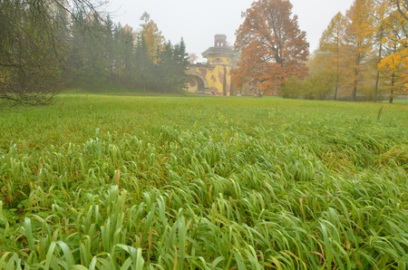 Autumn landscape in the Park.Dry grass bends in the wind.の写真素材