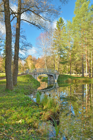 Autumn landscape in the Park.The leaves on the trees have a multicolored color.の写真素材