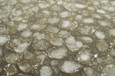 Patterned ice on the river.These are frozen water crystals.の写真素材