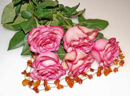 Bouquet of five roses.Nearby is the women's necklace.の写真素材