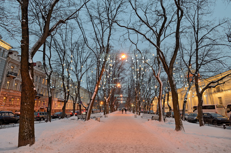 Light illuminations on trees.So decorate the city before Christmas.の写真素材