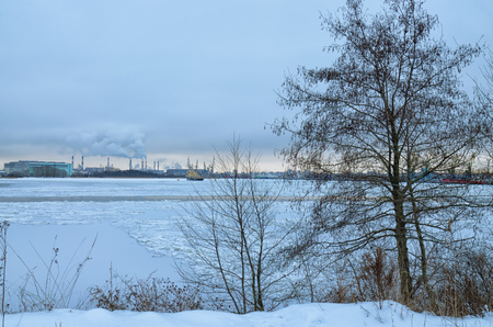 Natural landscape in the Park.On the ground and in the trees is a lot of snow.Beautiful and cold winter.の写真素材