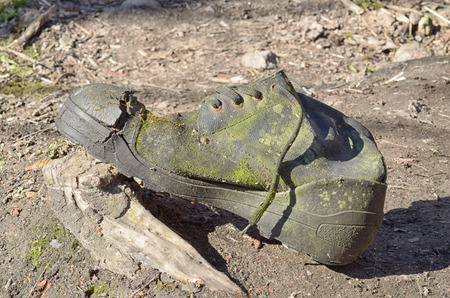 Discarded old torn shoes.It must be disposed of.の写真素材
