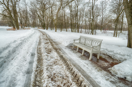 The track from the tractor in the snow.He was taking wood out of the woods.の写真素材