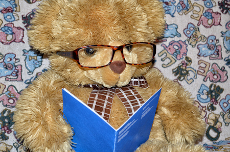 Teddy bear on the couch.He's reading an interesting book.の写真素材