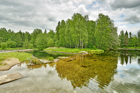 Sunny landscape in the forest.Colorful views of nature with green vegetation.の写真素材