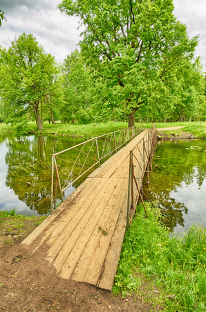 Sunny landscape in the forest.Colorful views of nature with green vegetation.の写真素材