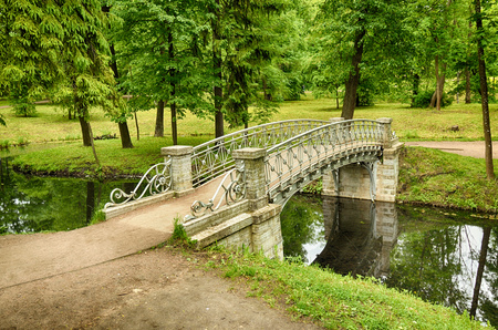 Sunny landscape in the forest.Colorful views of nature with green vegetation.の写真素材