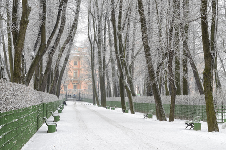 Park in the city in winter.The trees are bare, without leaves.の写真素材