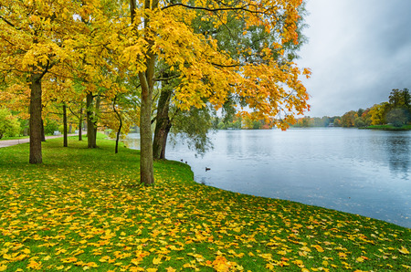 Autumn landscape in the Park.The leaves on the trees have a multicolored color.の写真素材