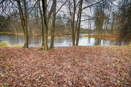 Autumn landscape in the Park.The leaves on the trees have a multicolored color.の写真素材