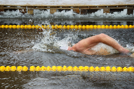 Lovers of winter swimming.Swimmer swims in the pool.He swims the distance at speed.の写真素材