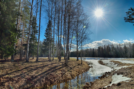 Springtime in the woods.Shines warm the sun.The remnants of snow melt from solar rays.の写真素材