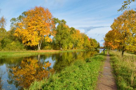 Autumn landscape in the Park.The leaves on the trees have a multicolored color.の写真素材