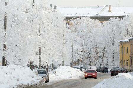 Snow-white winter in the city.The trees are covered with bright snow .Beautiful winter landscapes.の写真素材