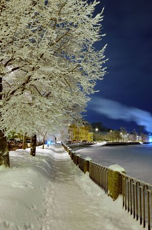 Snow-white winter in the city.The trees are covered with bright snow .Beautiful winter landscapes.の写真素材