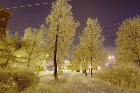 Night city in winter.It's freezing outside.There is a lot of snow around.の写真素材