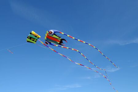 Saint-Petersburg.Russia.August 31.2019.Park ,, three hundred years of St. Petersburg ,,.The townspeople came here with their families.Children and adults fly kites into the sky.の写真素材