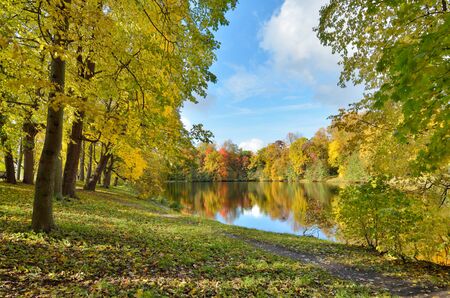 Autumn landscape in the Park.The leaves on the trees have a multicolored color.の写真素材