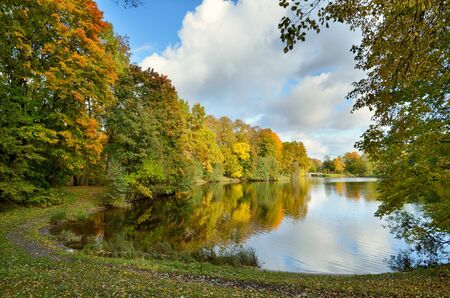 Autumn landscape in the Park.The leaves on the trees have a multicolored color.の写真素材