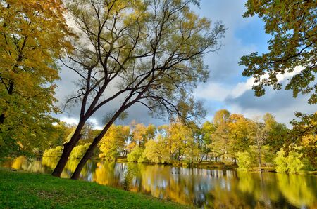 Autumn landscape in the Park.The leaves on the trees have a multicolored color.の写真素材