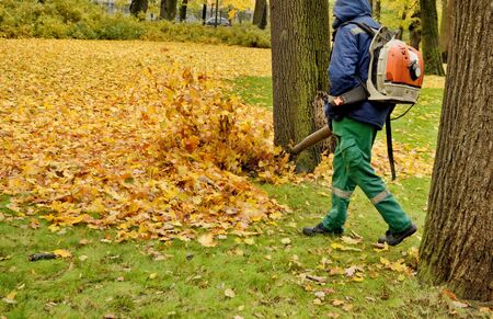 Worker cleaning company. Collects fallen leaves.Uses an apparatus to blow off leaves.の写真素材