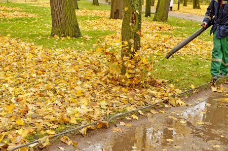 Worker cleaning company. Collects fallen leaves.Uses an apparatus to blow off leaves.の写真素材