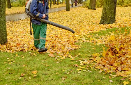 Worker cleaning company. Collects fallen leaves.Uses an apparatus to blow off leaves.の写真素材