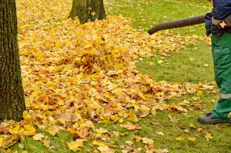 Worker cleaning company. Collects fallen leaves.Uses an apparatus to blow off leaves.の写真素材