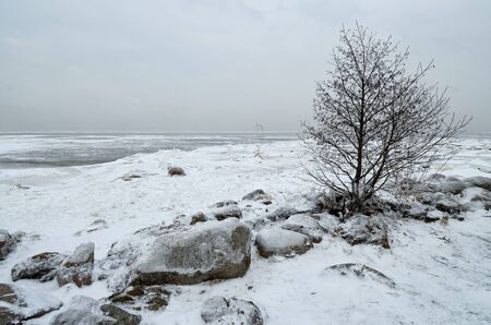 It's a cold and frosty winter.The Bay is covered with ice.の写真素材