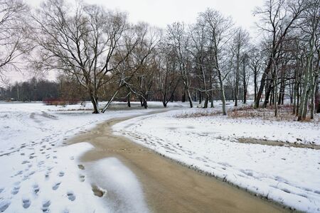 Natural landscape in the Park.On the ground and in the trees is a lot of snow.Beautiful and cold winter.の写真素材