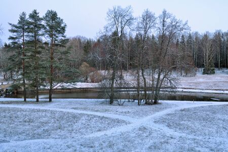 The first snow fell in the forest.Winter came cold and frosty.の写真素材