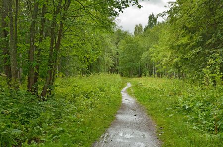 The Park is quiet and peaceful.You can relax among nature.