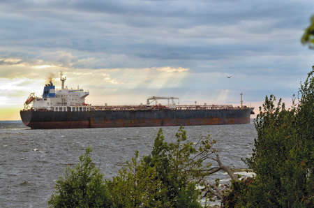 The big ship goes to sea.This is a commercial cargo ship.の写真素材