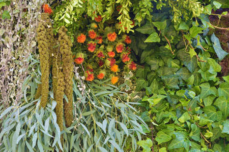 A beautiful bouquet of decorative, garden flowers.の写真素材