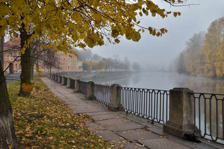 Beautiful natural landscape in autumn. The leaves on the trees are yellow and orange.の写真素材
