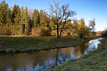 Beautiful natural landscape in autumn. The leaves on the trees are yellow and orange.の写真素材