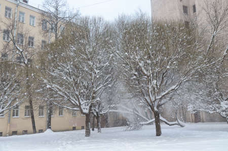 Snow fell in the city in winter.