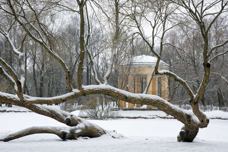 City park in the winter season. Snow is everywhere, and in the distance you can see the rotunda.の写真素材