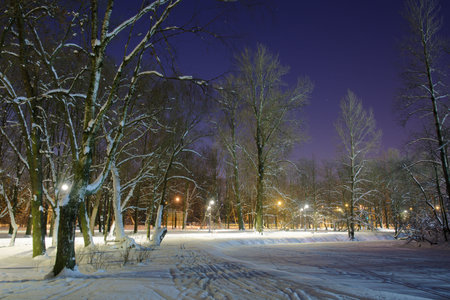 The city park is illuminated with electricity at night.In winter, snow reflects electric light.It gets even brighter.の写真素材