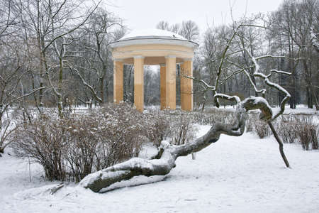 City park in the winter season. Snow is everywhere, and in the distance you can see the rotunda.の写真素材