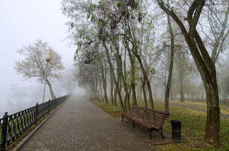 It is late autumn, the leaves have fallen from the trees, and the park is thick with fog.の写真素材